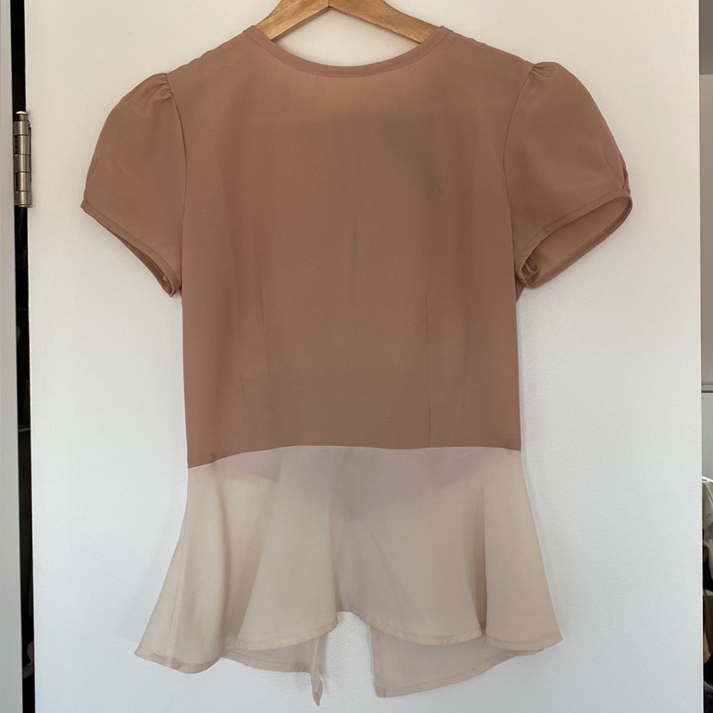 Sheer Princess Sleeve Colour Block Top XS